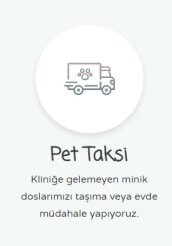 Anadolu Veteriner Kliniği | 24 Saat Nöbetçi Veteriner