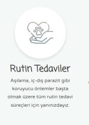 Anadolu Veteriner Kliniği | 24 Saat Nöbetçi Veteriner