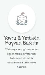 Anadolu Veteriner Kliniği | 24 Saat Nöbetçi Veteriner