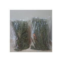 Akhisar Lokman Hekim | Andız Otu Çayı