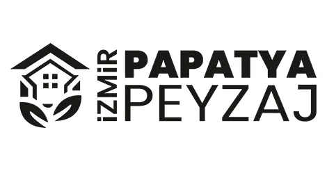 Papatya Peyzaj